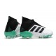 Adidas Predator 18+ FG Scarpe Uomo - Bianca Verde Nero
