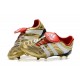 Adidas Predator Accelerator Electricity FG Scarpa - Bianco Argento Oro
